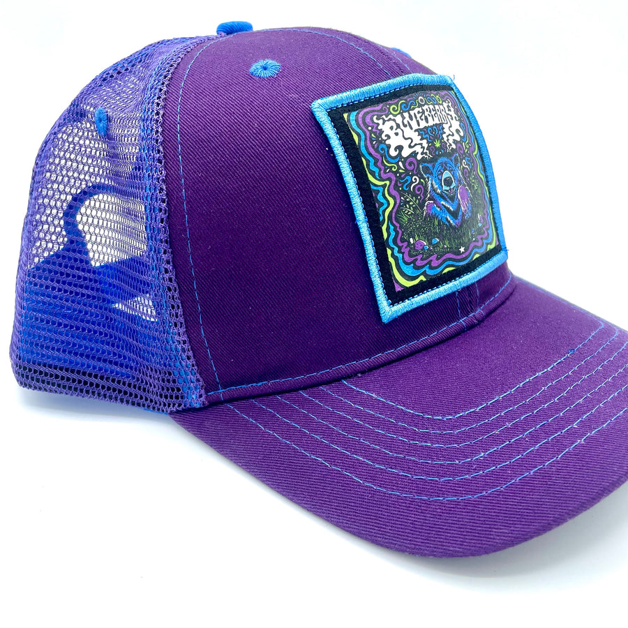 Blueberry Trucker Hat